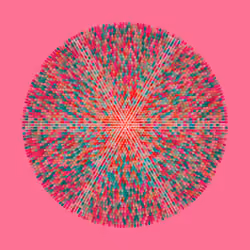 Transitions #2827