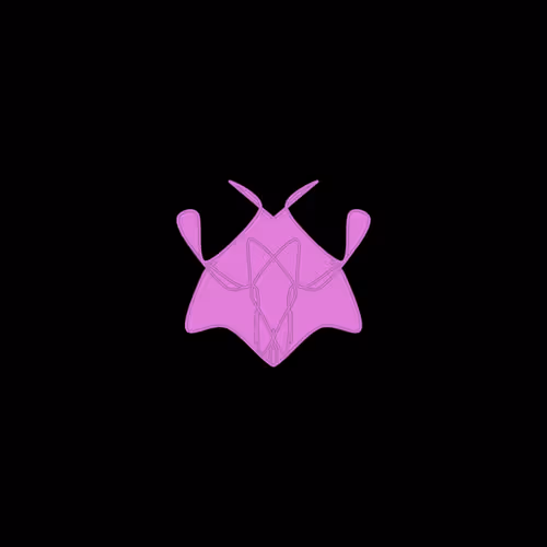 Cryptoblots #1887