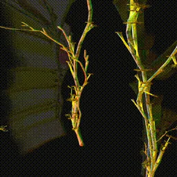 Item #279000021 Media