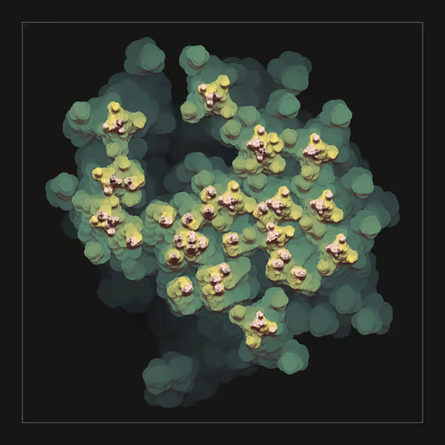 Octo Garden By Rich Lord