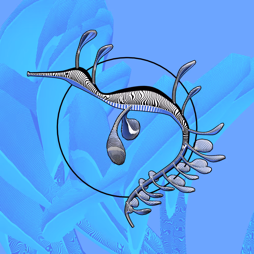 Seadragons #982