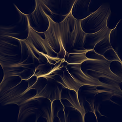 Gravity 16 #169