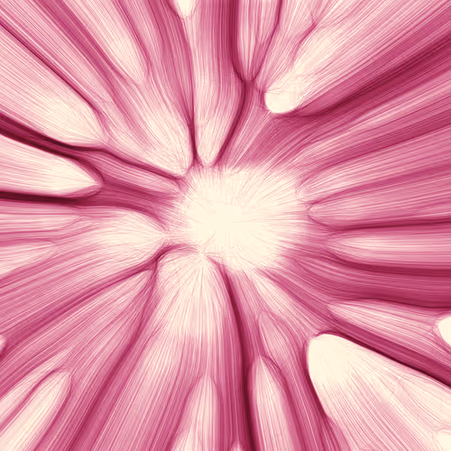 Item #96000510 Media