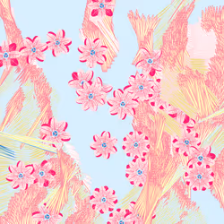 Fragments of an Infinite Field #260