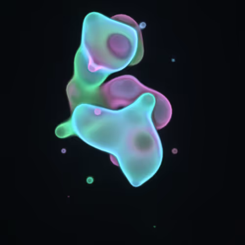 Item #62000100 Media