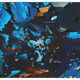 362000098