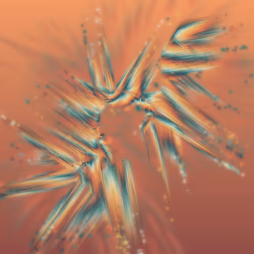 Item #68000279 Media