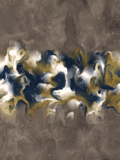 Item #366000194 Media