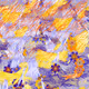Fragments of an Infinite Field #480