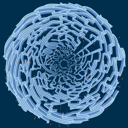 Item #224000299 Media