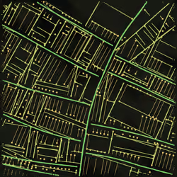 Maps of Nothing #489