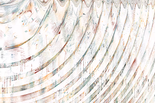 Item #229000146 Media