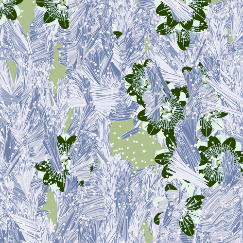 Fragments of an Infinite Field #629