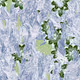 159000629