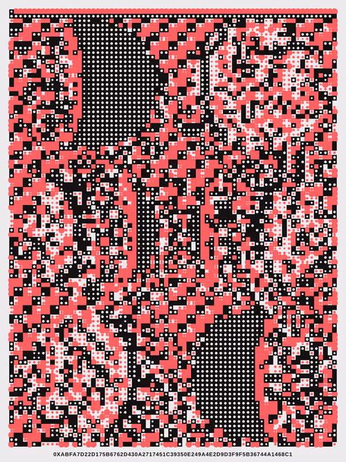 Item #241000081 Media