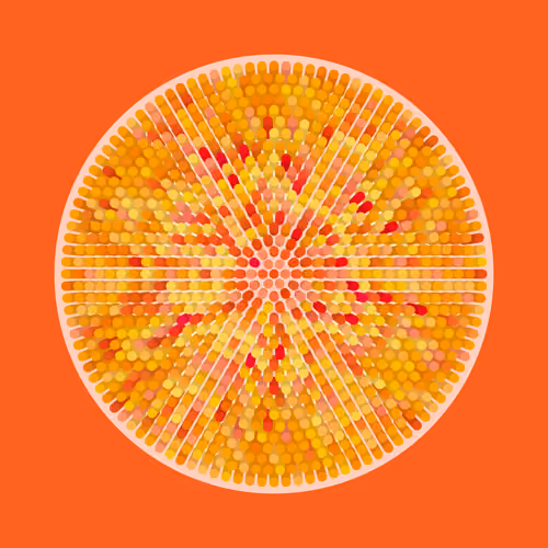 Transitions #4207