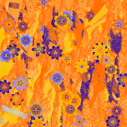 Fragments of an Infinite Field #271