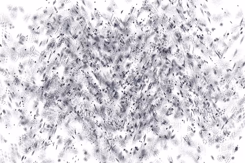 Item #229000287 Media