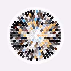 Transitions #3437