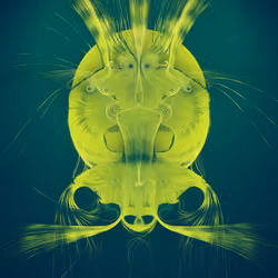 Latent Spirits #366