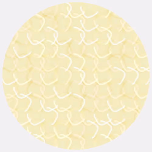 Item #166000903 Media