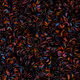 270000157