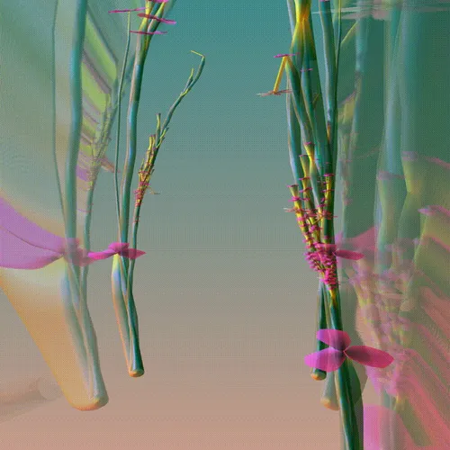 Item #279000062 Media