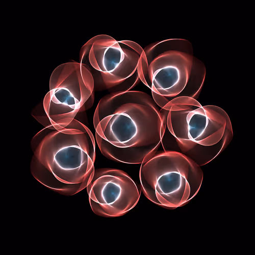 Item #116000775 Media