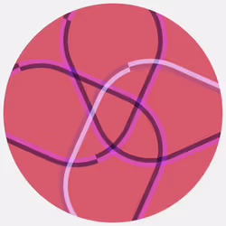 Ouroboros #339
