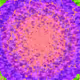 149000382