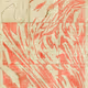 Anticyclone #627