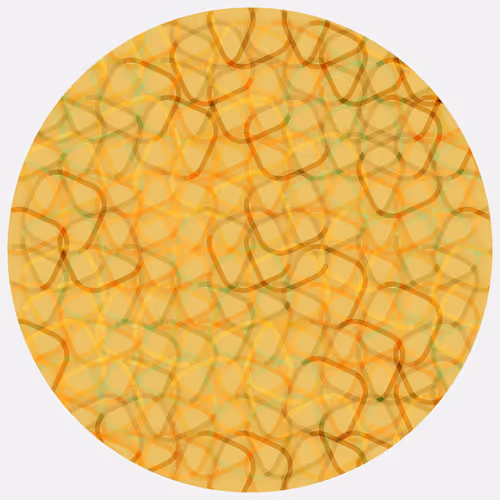 Ouroboros By Shane Rich Raregonzo
