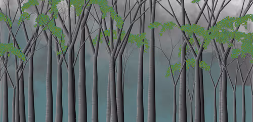 Item #254000094 Media