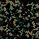175000248