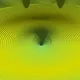 225000654
