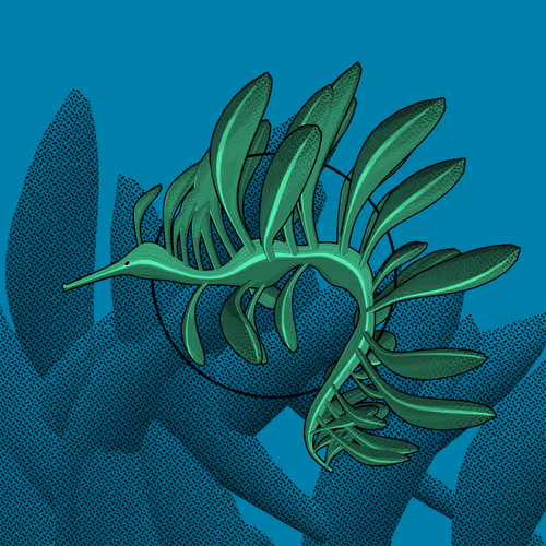 Item #160000769 Media