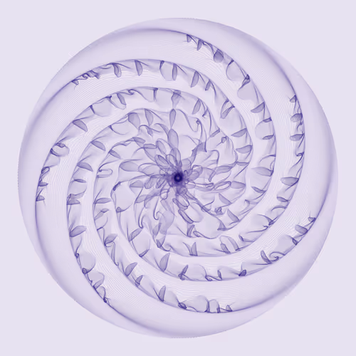 Item #157000244 Media