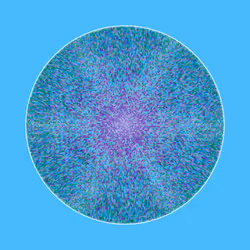 Transitions #4006