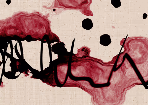 Item #328000048 Media