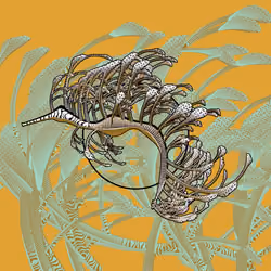 Seadragons #610