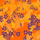 Fragments of an Infinite Field #933