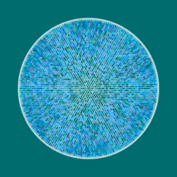 Transitions #4078
