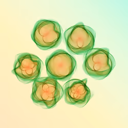 Flowers #2609