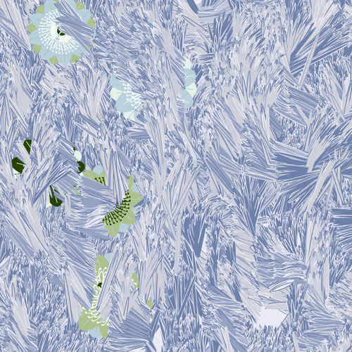 Fragments Of An Infinite Field By Monica Rizzolli