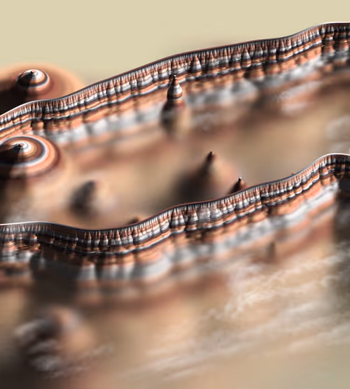 Item #291000297 Media