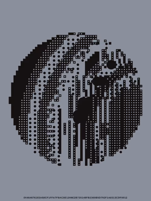 Item #241000050 Media