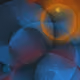 256000132