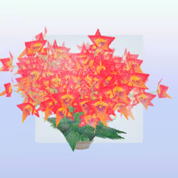 Cattleya #66