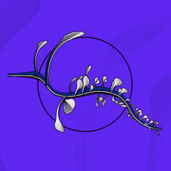 Seadragons #849