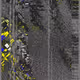 318000283